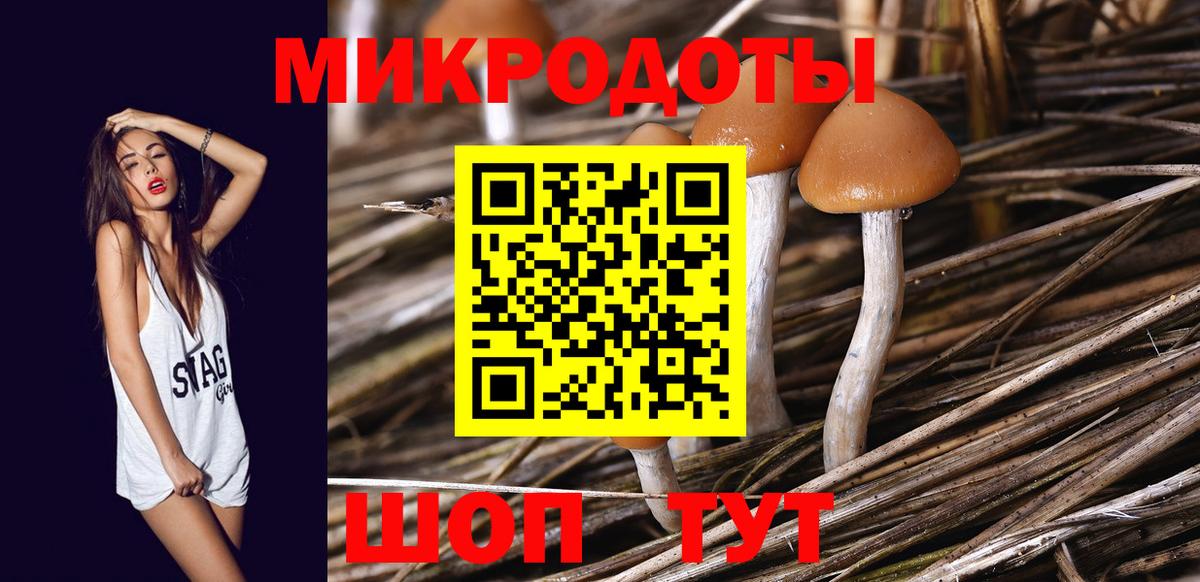 продажа наркотиков  Псилоцибиновые грибы Cubensis  Вход с VPN  Геленджик 