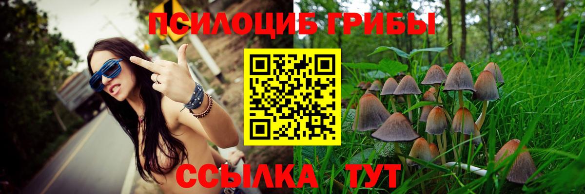 Псилоцибиновые грибы ЛСД Геленджик